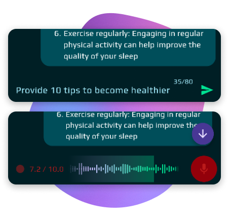 Voice and text chat interface